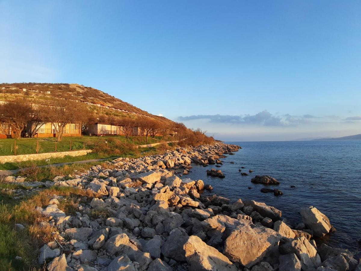 Mobile Home Apartment Camp Кленовица Экстерьер фото